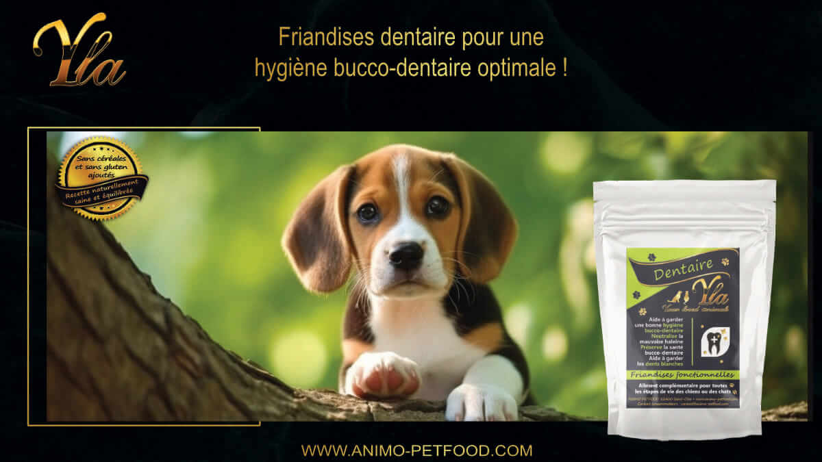 friandises-bucco-dentaire-chiot